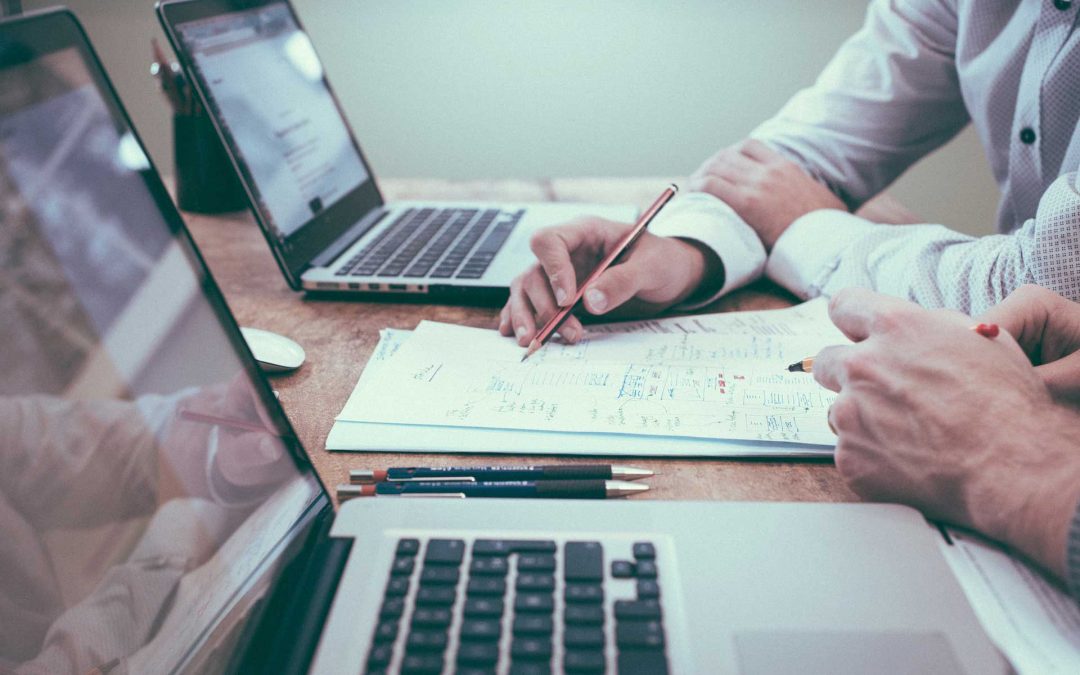 Sole Trader Entity Setup Case Study